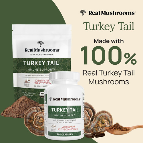 Real Mushrooms Polvo Turkey Tail Orgánico 100 Dosis Vegano