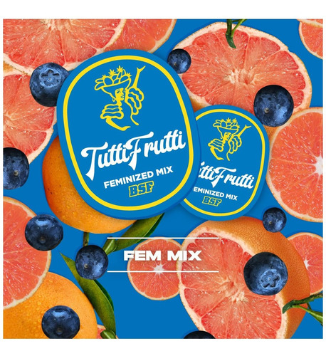 Semillas Tutti Frutti Feminized Mix (x12) | Bsf Seeds