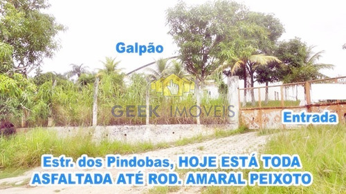 Imagem 14 de 15 de Galpao - Pindobas - Ref: 76 - V-76