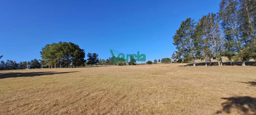 Excelente Casa De Campo