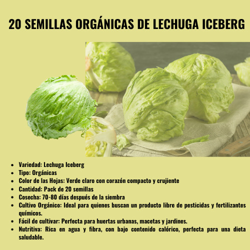 Semillas Organicas De Lechuga Iceberg