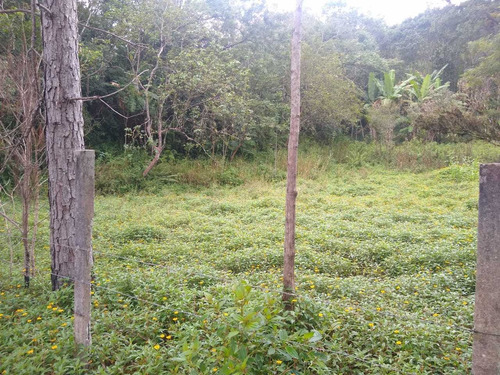 Imagem 2 de 14 de Chacrinha Moleza 3.000metros Com Casa
