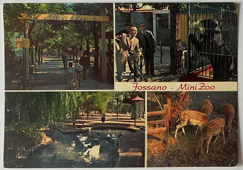Antigua Postal Fossano Cuneo, Mini Zoo, Italia, P0141