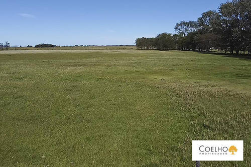 Imagen 20 de 30 de Terreno - Carmen De Areco