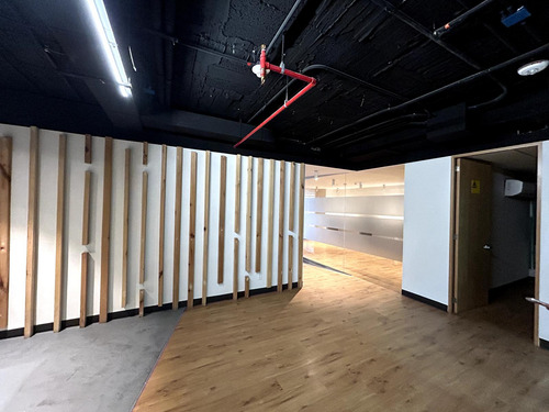 Oficina En Renta - Masaryk Piso 7 - 511 M2