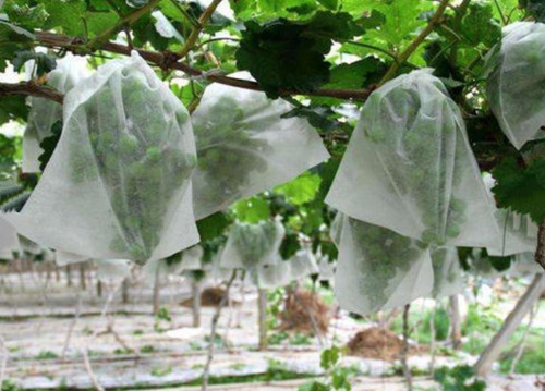 Rollo Tela Antiheladas - Agribón Granizo 2.10m X 1000 M