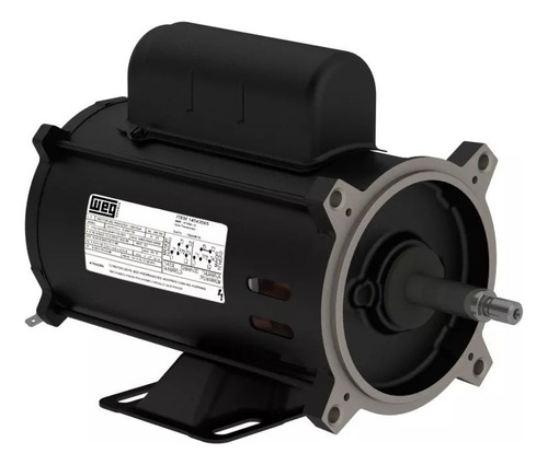 Motor Weg 1/4 Cv Pra Bomba Piscina Igui Monofásico 110/220v 110v/220v