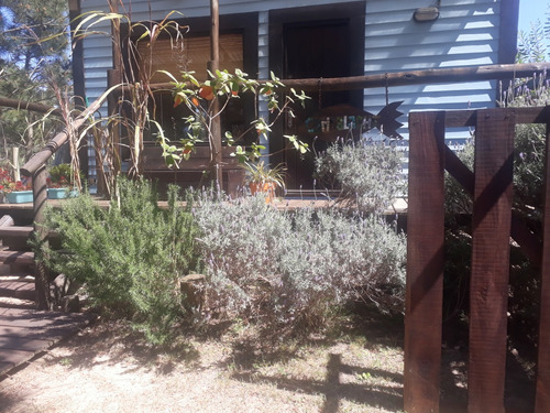 En Alquiler Temporada! Cabaña Cambalache, Casa De Madera, Monoambiente. A 350mts. De La Playa, Zona La Viuda, Para 2 O 3 Adultos, Punta Del Diablo, Rocha, Uruguay.