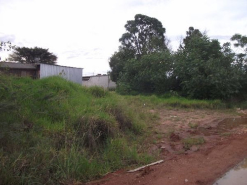 Terreno Em Aberta Dos Morros - Mi15778
