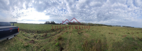 Exclusividad...inversión Asegurada En Las Garzas Uds 12.800 X 25 Has.- Ref: 593