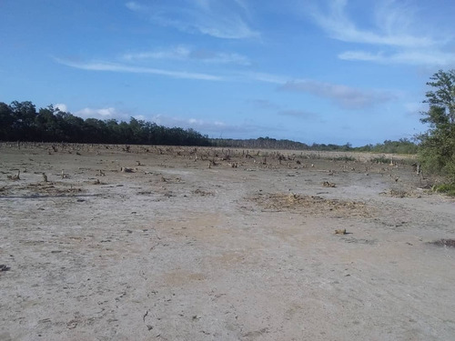 Imagen 3 de 30 de Se Vende Terreno Tucacas Att-136 04125067379 04244900499