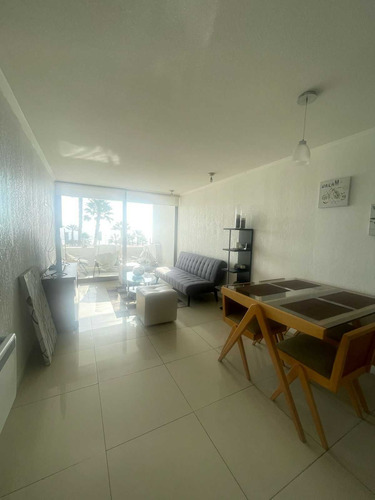 Espectacular Depto En Jardin Del Mar (87025)