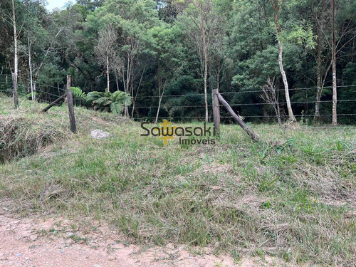 Imagem 9 de 9 de Chácara À Venda No Bairro Colônia Murici - São José Dos Pinhais/pr - 5864