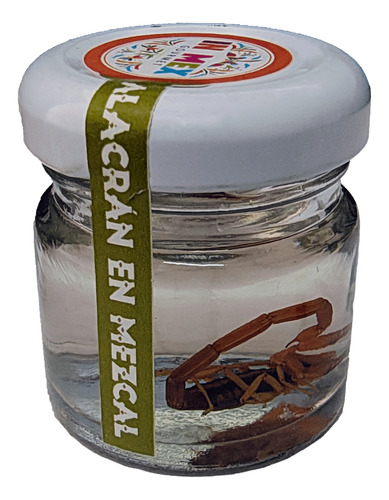 Kit Degustación De Insectos Comestibles Mexicanos.