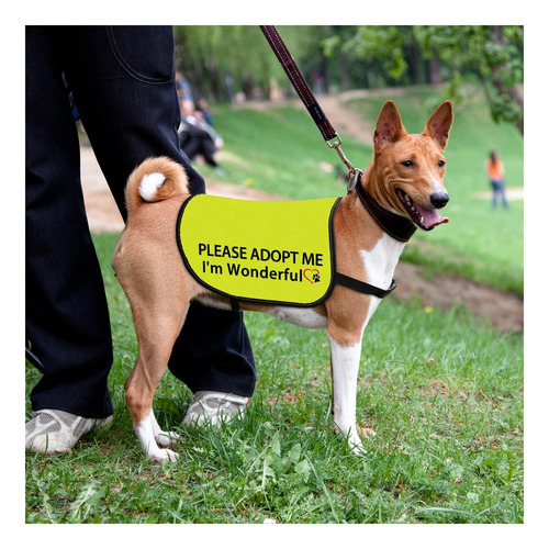 Chaleco De Chaqueta Para Perros De Adopción, Por Favor, Soy Amarillo