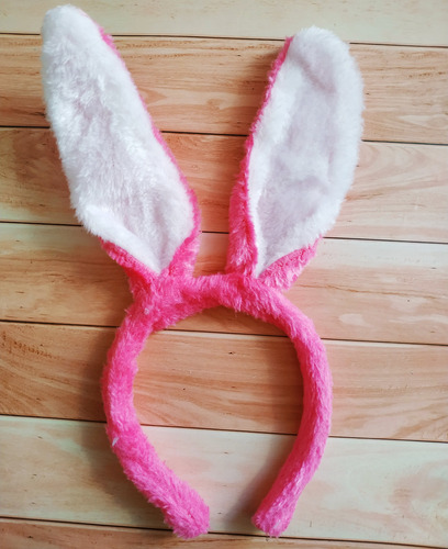 Orejas Conejo Pascua Fiesta Diadema Primavera Carnaval