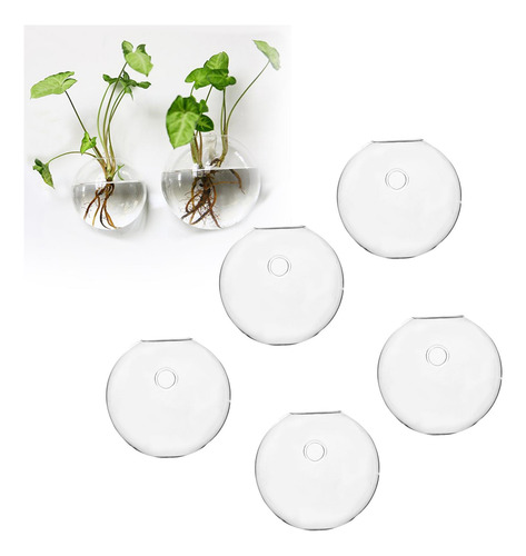 Jarrón Hidropónico De Terrario De Flores, Decoración 12cm