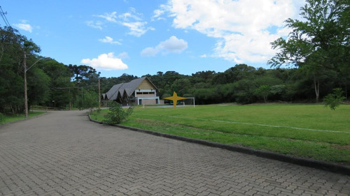 Imagem 10 de 16 de Terrenos Em Canela - Serra Gaúcha - 1079
