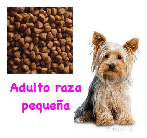 Croquetas Nupet Adulto Razas Pequeñas A Granel 60kg+juguete