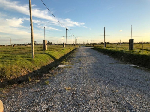Imagen 2 de 3 de Venta De Lote En Maximo Paz- Cañuelas