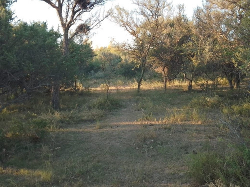 Imagen 22 de 28 de T056pa Amplios Terrenos De 1.350 M2 En Panaholma, A 300 Mts Del Río