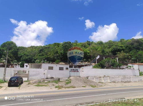 Imagem 1 de 17 de Granja Com Galpão E 6 Casas À Venda Em Felipe Camarão - Natal/rn - Ch0009