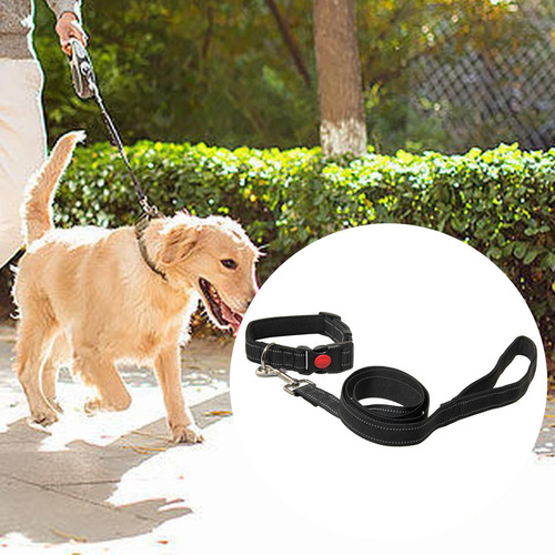 Cuerda De Tracción Ajustable Para Perros, Para Correr, M