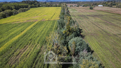 Predio De 87.8 Ha Con Derecho De Agua Y Acceso Asfaltado