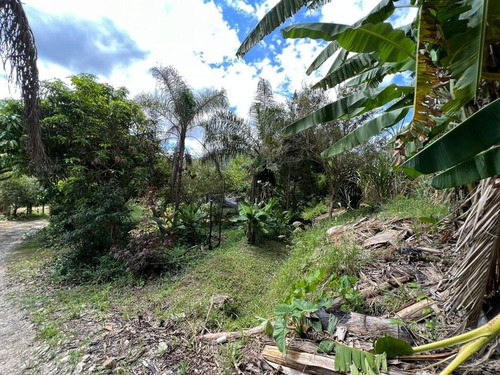 Imagem 6 de 30 de Chácara 2048m2, Casa Sede, Loja, Depósito, Viveiro De Plantas Com Estufa, Acesso Asfaltado, Poço Caipira, Ótima Localização - Ch00256 - 70814196