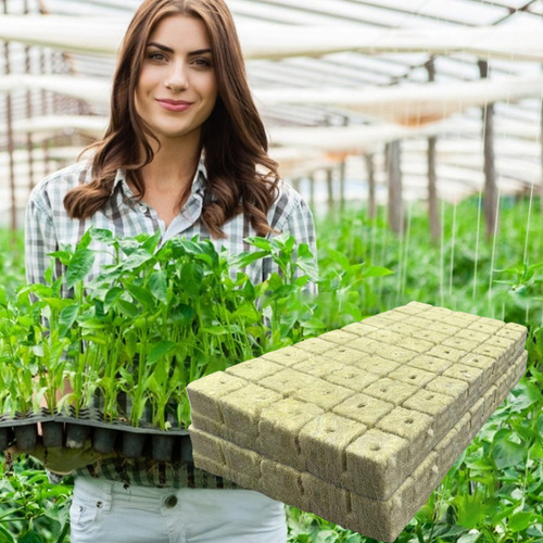 Cubos De Cultivo De Lana De Roca Para Esquejes, Clonación De
