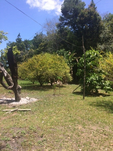 Melhor Área P/loteamento 91m Beira Pista, Granja 5.05 Hec, Guabiraba, Aceito Imóvel Ou Carro - Ch00009 - 67721727