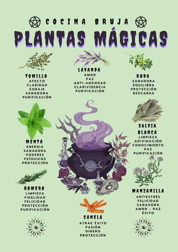 Poster Plantas Mágicas Tamaño A3