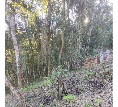 Terreno Perfeito Para Área De Lazer