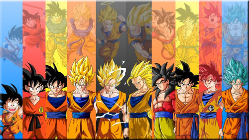 Cuadro Goku Transformaciones Dragon Ball Z Canvas Infantiles | MercadoLibre