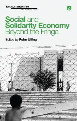 Social And Solidarity Economy : Beyond The Fringe -     ...