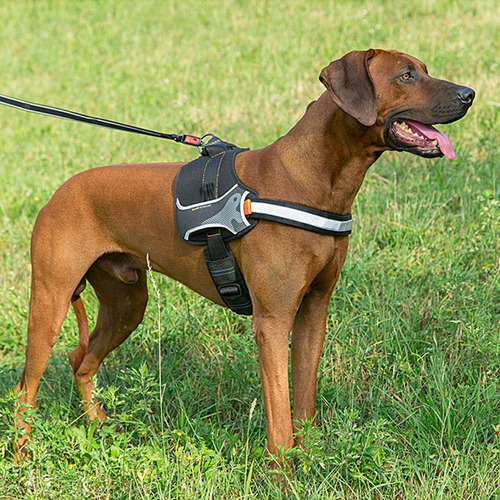 Peitoral Cachorro Hercules Ferplast Preto- Tam: (m)