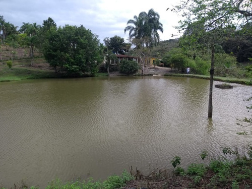 Imagem 1 de 30 de Sitio No Juquiá - St00024