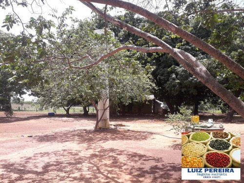 Imagem 12 de 15 de Fazenda À Venda Em Peixe - To - De 200 Alqueirões (dupla Aptidão) - 1721