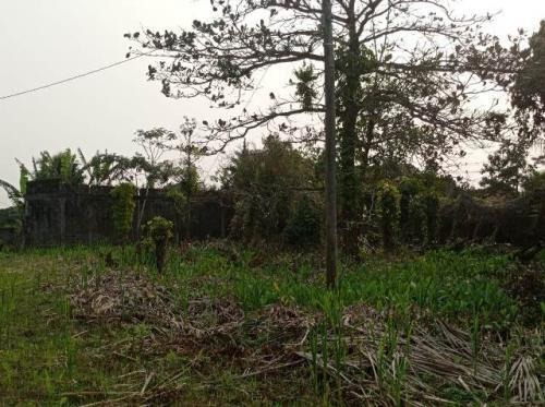 Imagem 3 de 3 de Terreno Lado Praia Com 240 M², Em Itanhaém/sp