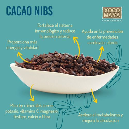 Imagen 3 de 8 de Nibs De Cacao Orgánico Crudo 500 G Xoco Maya