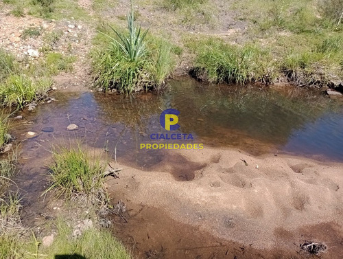Imagen 10 de 12 de 10 Hectáreas En Las Cañas