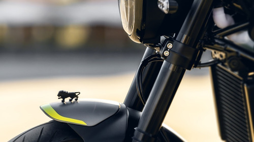 Imagen 15 de 19 de Benelli Leoncino 250 Tipo Scrambler - Promo Exclusiva!