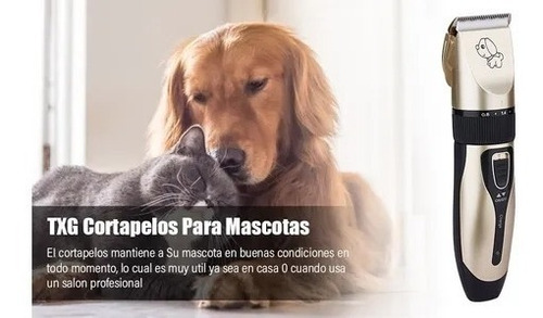Imagen 3 de 7 de Maquina Corta Pelo Perros Cortadora Usb Accesorios Gatos