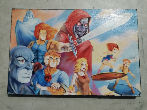 Cuadro Thundercats