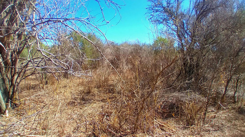 Villa De Soto Campo De 45 Has En Paraje Las Cañadas