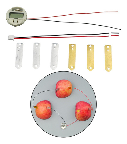 Fruit Battery Science Experiment Kits Reloj Digital