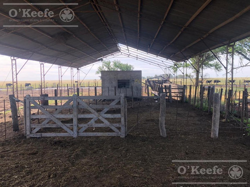 Imagen 7 de 29 de Campo Ganadero De 4300 Has - Sobre Ruta - Potencial Parque Eolico - Bahia Blanca