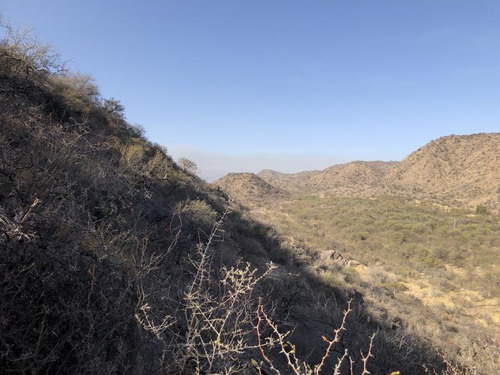 San Francisco Del Monte De Oro, Chacra 40 Hectareas Sobre Ruta , Escritura Inmediata