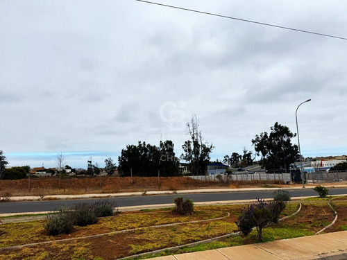 Terrenos Para Desarrollo La Serena / Cuatro Esquinas