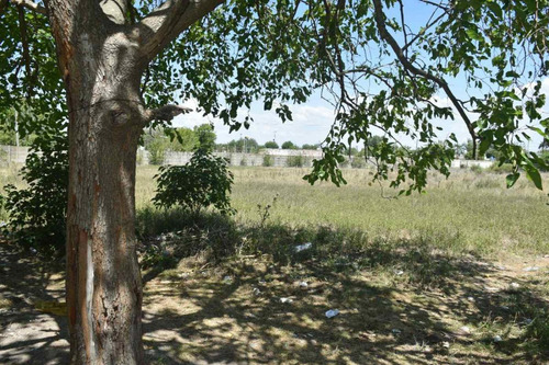 Lotes En Venta En San Carlos, La Plata